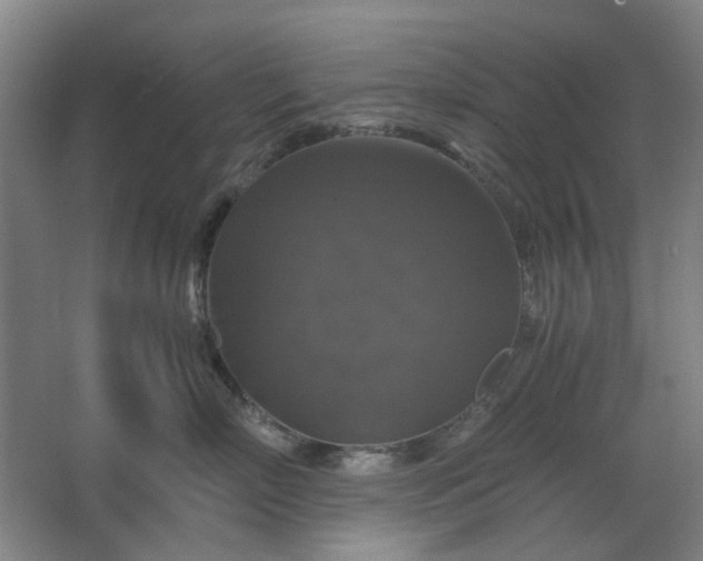 X0000062620718200512281529