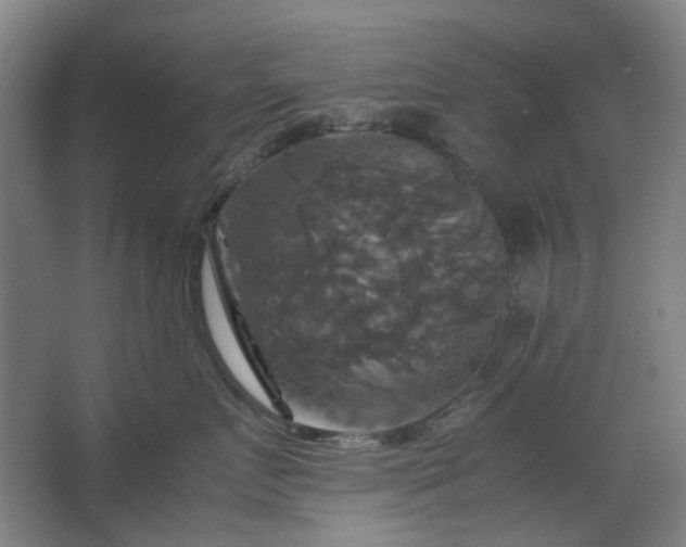 X0000062620719200512281529