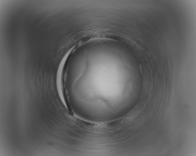 X0000062620720200512281529