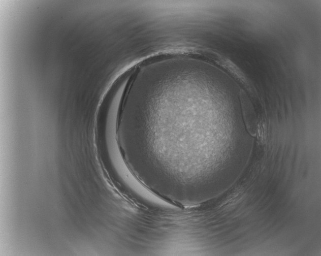 X0000062620724200512281528