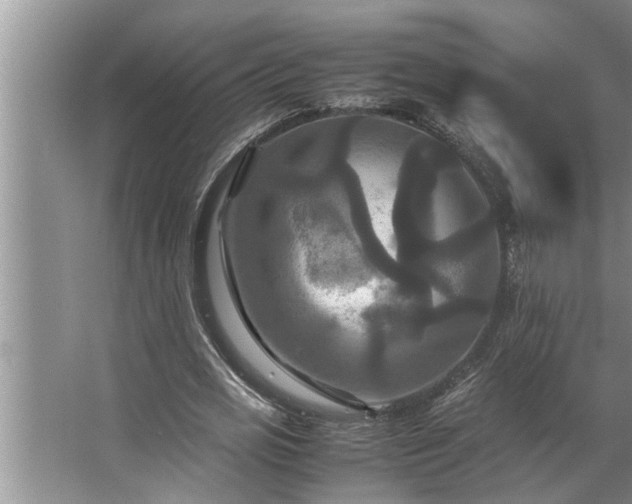 X0000062620725200512281528