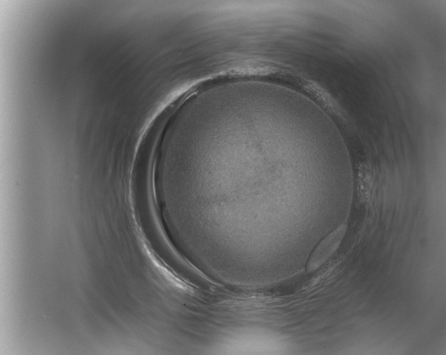 X0000062620726200512281528