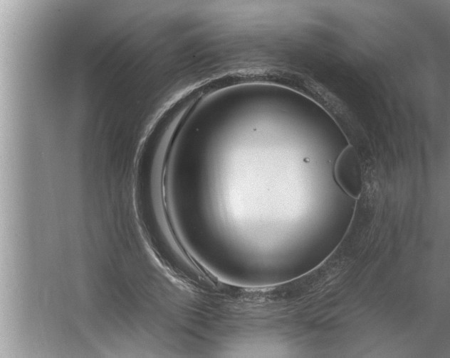 X0000062620728200512281529