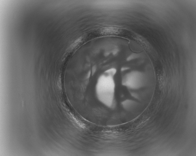 X0000062620729200512281529