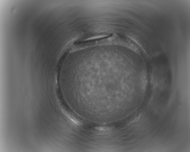 X0000062620733200512281529