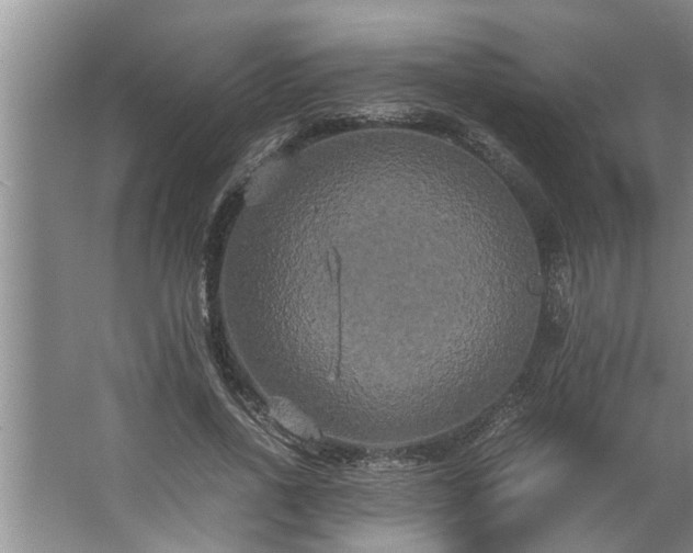 X0000062620734200512281529