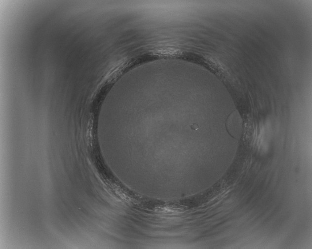 X0000062620739200512281529