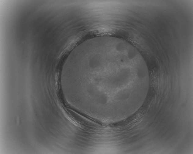 X0000062620742200512281529