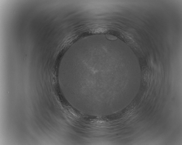 X0000062620743200512281529