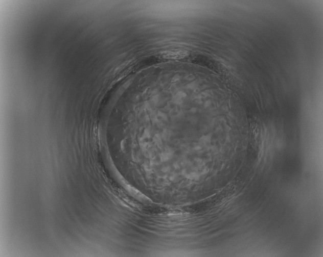 X0000062620745200512281529