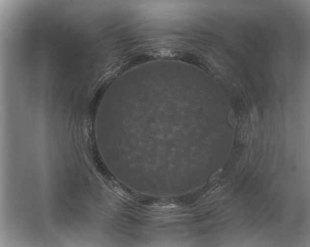 X0000062620747200512281529