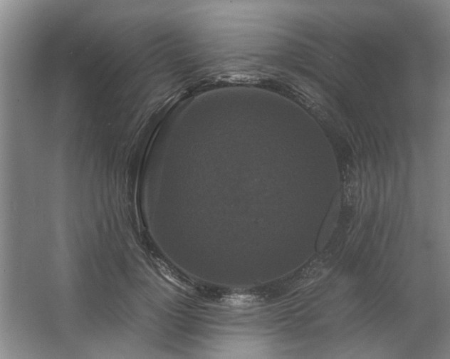 X0000062620748200512281529