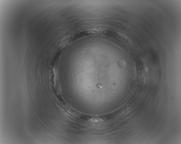 X0000062620749200512281529