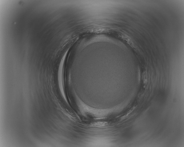 X0000062620750200512281529