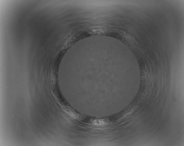 X0000062620751200512281529