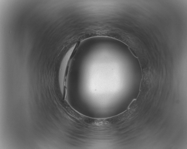 X0000062620752200512281529