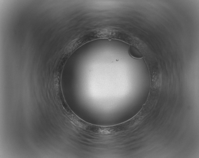 X0000062620753200512281529