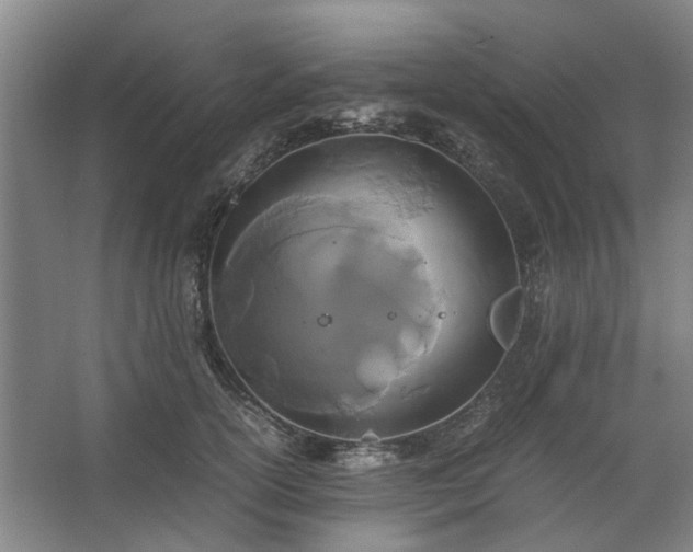 X0000062620754200512281529