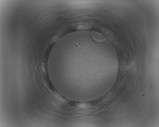 X0000062620755200512281529