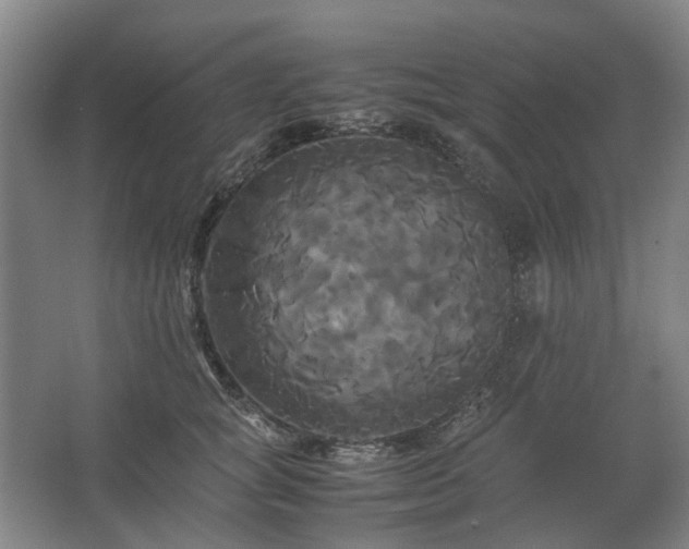 X0000062620757200512281529