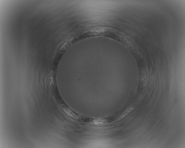 X0000062620758200512281529