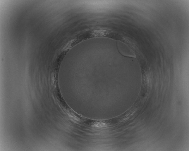 X0000062620759200512281529