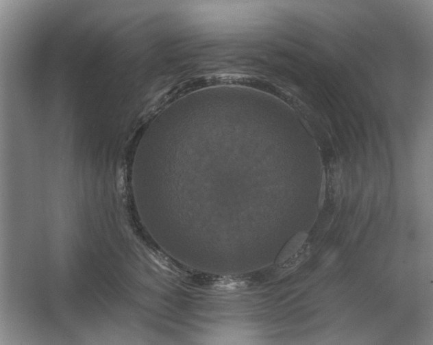 X0000062620760200512281529