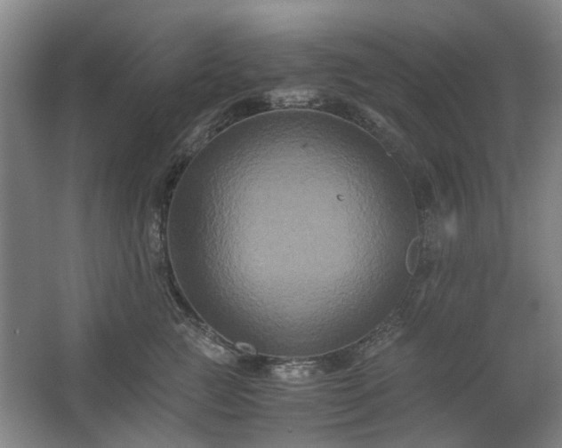 X0000062620761200512281529