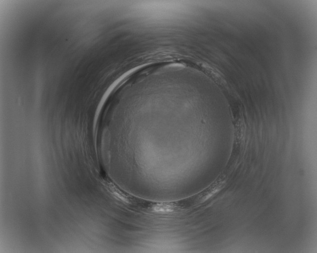 X0000062620762200512281529