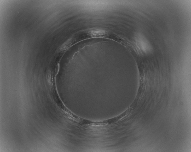 X0000062620763200512281529