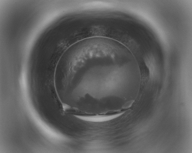 X0000062620765200512281529