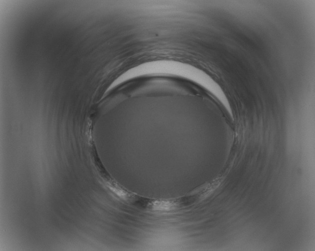 X0000062620766200512281529