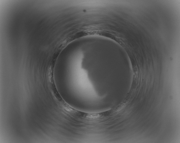 X0000062620767200512281529