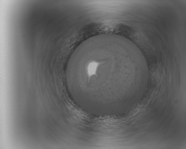 X0000062620769200512281528