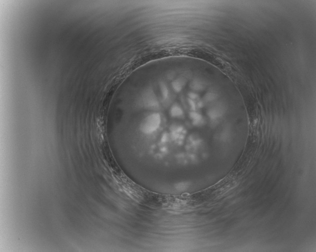 X0000062620772200512281528