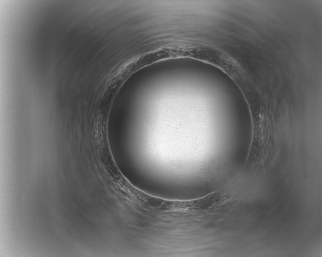 X0000062620773200512281528