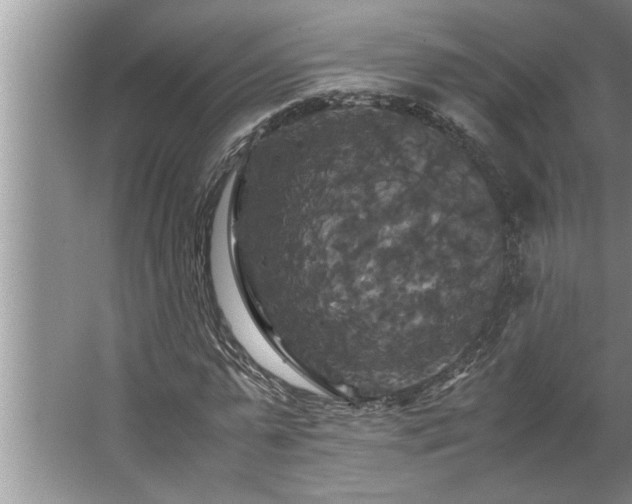 X0000062620775200512281528