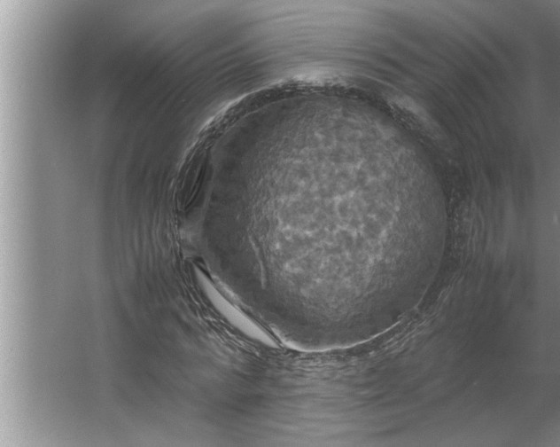 X0000062620776200512281528