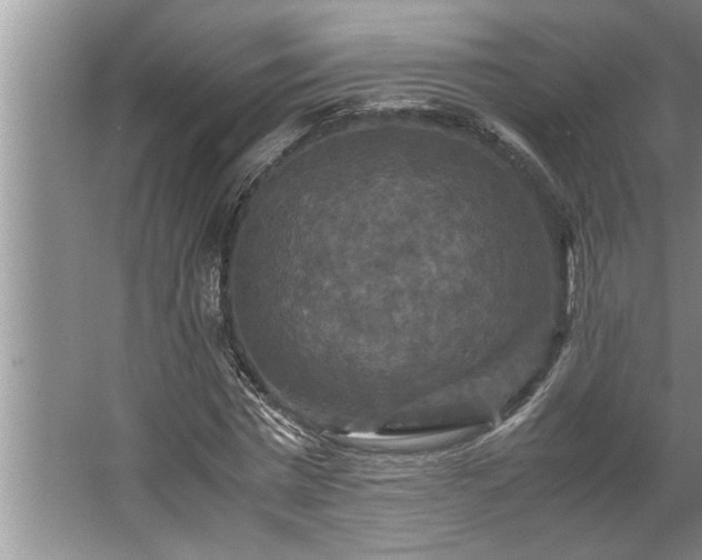 X0000062620777200512281528