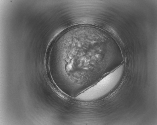 X0000062620780200512281528