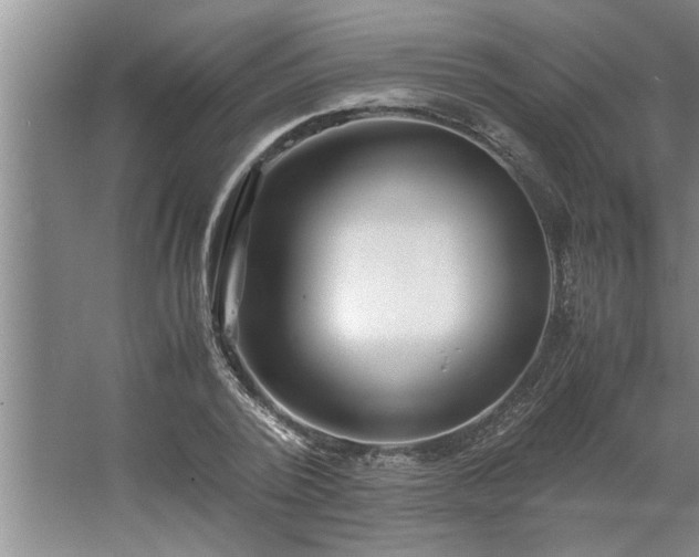 X0000062620784200512281528