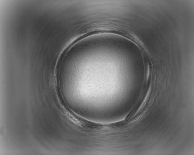 X0000062620787200512281528