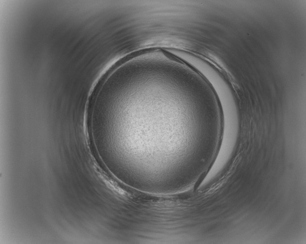 X0000062620788200512281528