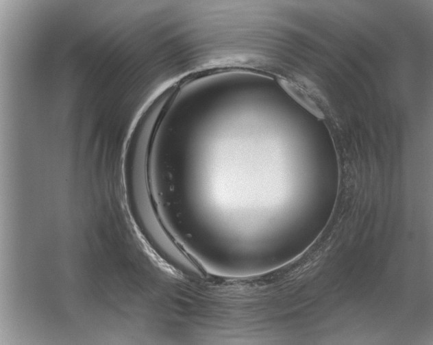 X0000062620792200512281528