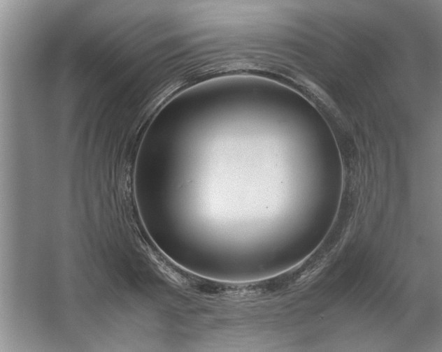 X0000062620793200512281528