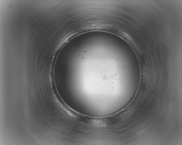 X0000062620794200512281528