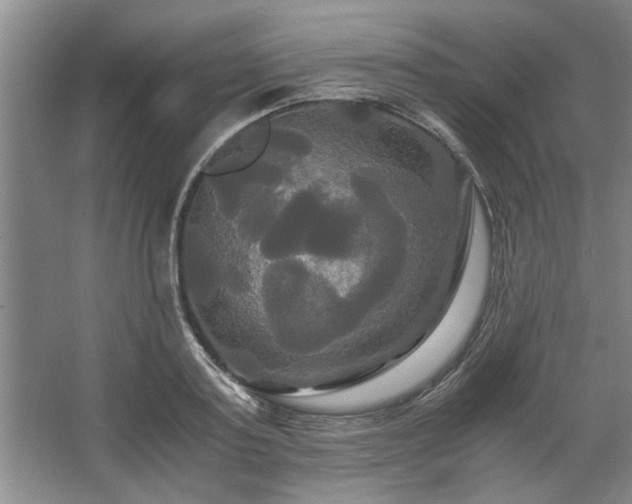 X0000062620795200512281528