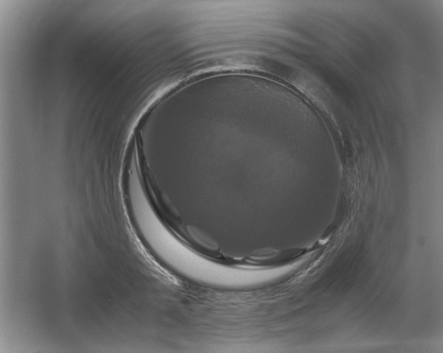 X0000062620797200512281528