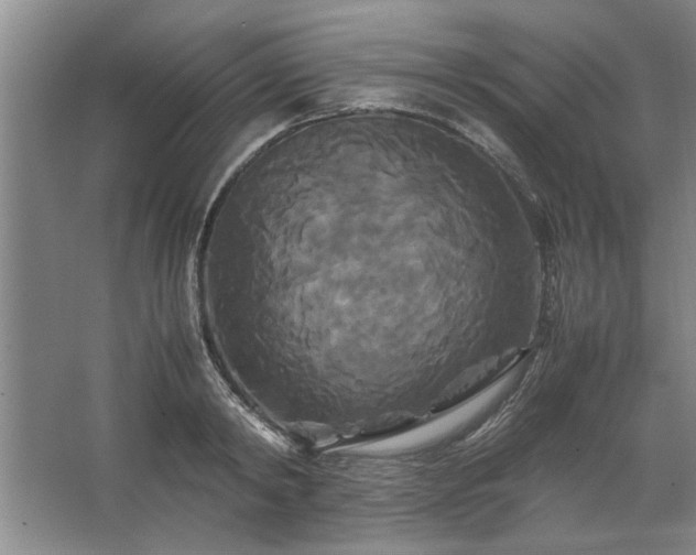 X0000062620798200512281528