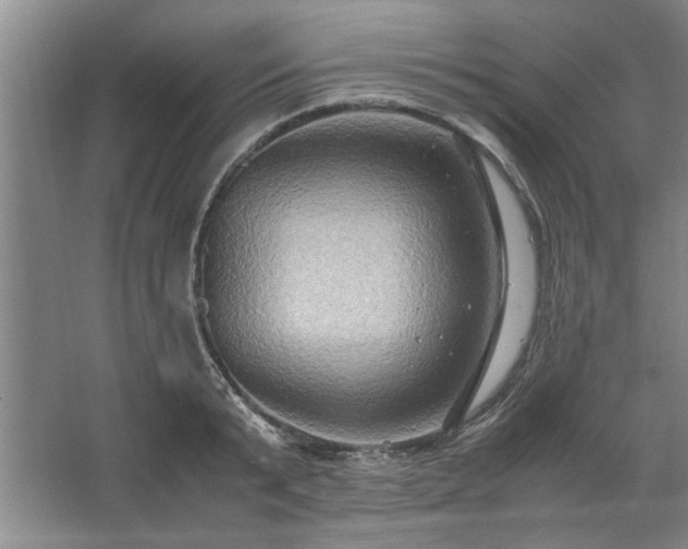 X0000062620799200512281528